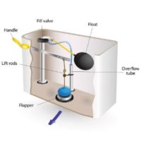 GRAVITY-FED TOILET - Toilet Glossary - Toiletology