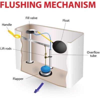 How A Flush Toilet Works Diagram