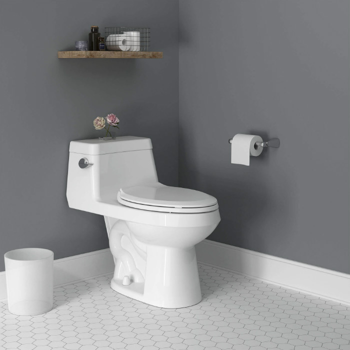 Toilet Bowl Definition - Toiletology