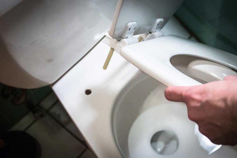 How to Replace a Toilet Seat Toiletology