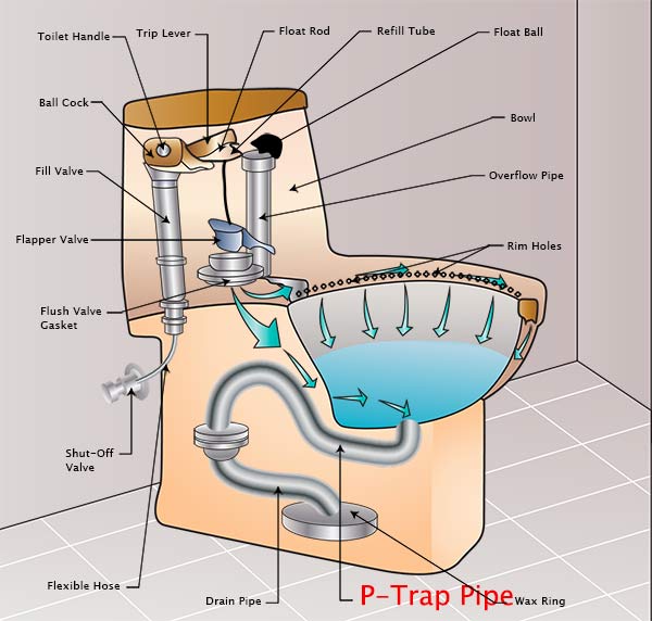 p-trap-pipe-what-is-it-what-does-it-do-toiletology