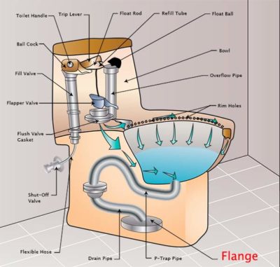 Toilet Flange Installation Diagram