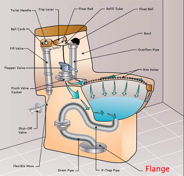 Toilet Flange What Is It What Does It Look Like Toiletology