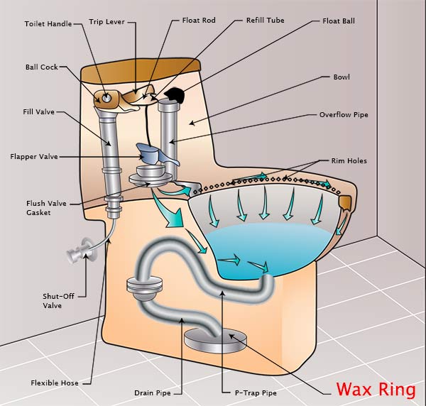 Replacing a Toilet Wax Ring: Part One