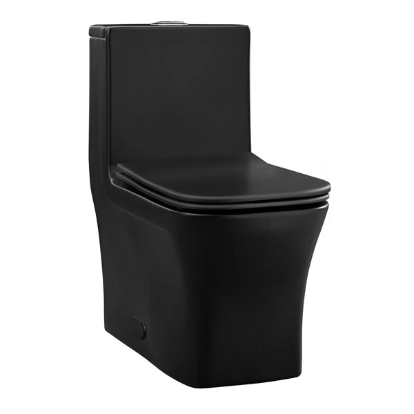 https://toiletology.com/wp-content/uploads/2021/07/swiss-madison-concorde-dual-1pc-square-skirted-black.jpg