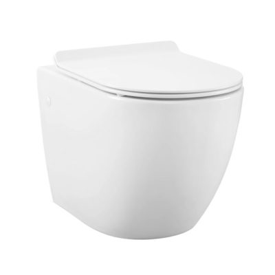 st tropez wall hung toilet